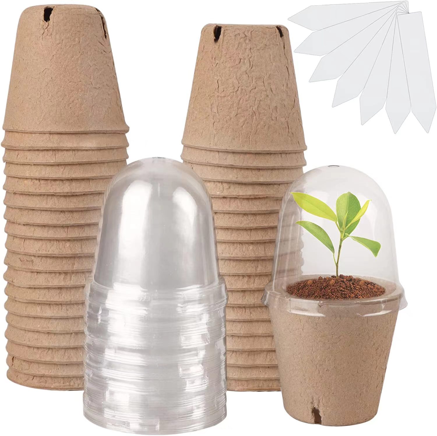 Indoor Herb Garden Kit - Seed Starter Biodegradable Peat POTS, Seedling
