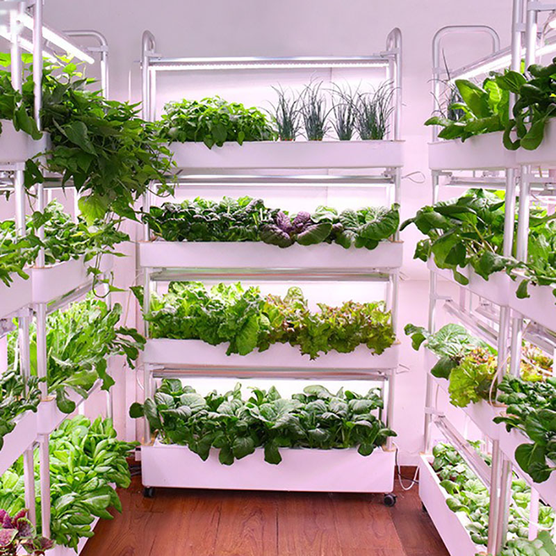 Smart Garden Vertical - Hydroponics Growing System Vertical Smart Indoor