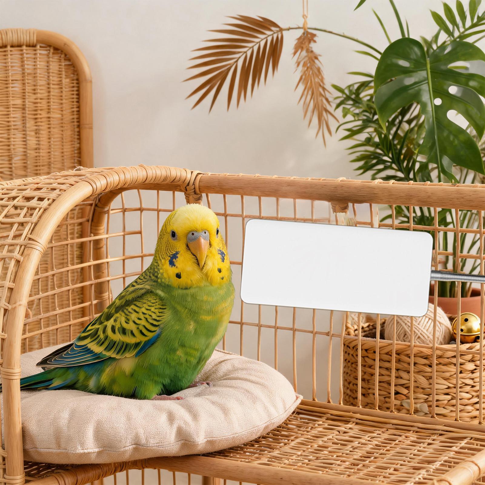 Smart Garden Bird Bath - Pet Heater 5V Safe Pet Winter