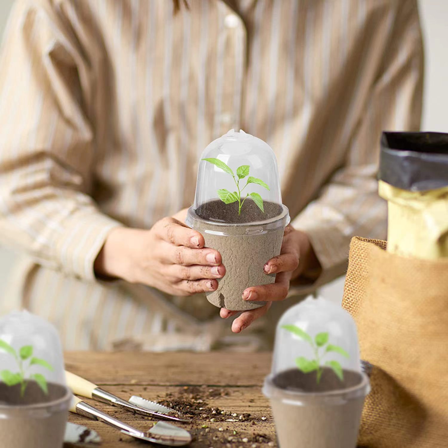 Seed Starter Biodegradable Pea - огляд і ціна Indoor Herb Garden Kit
