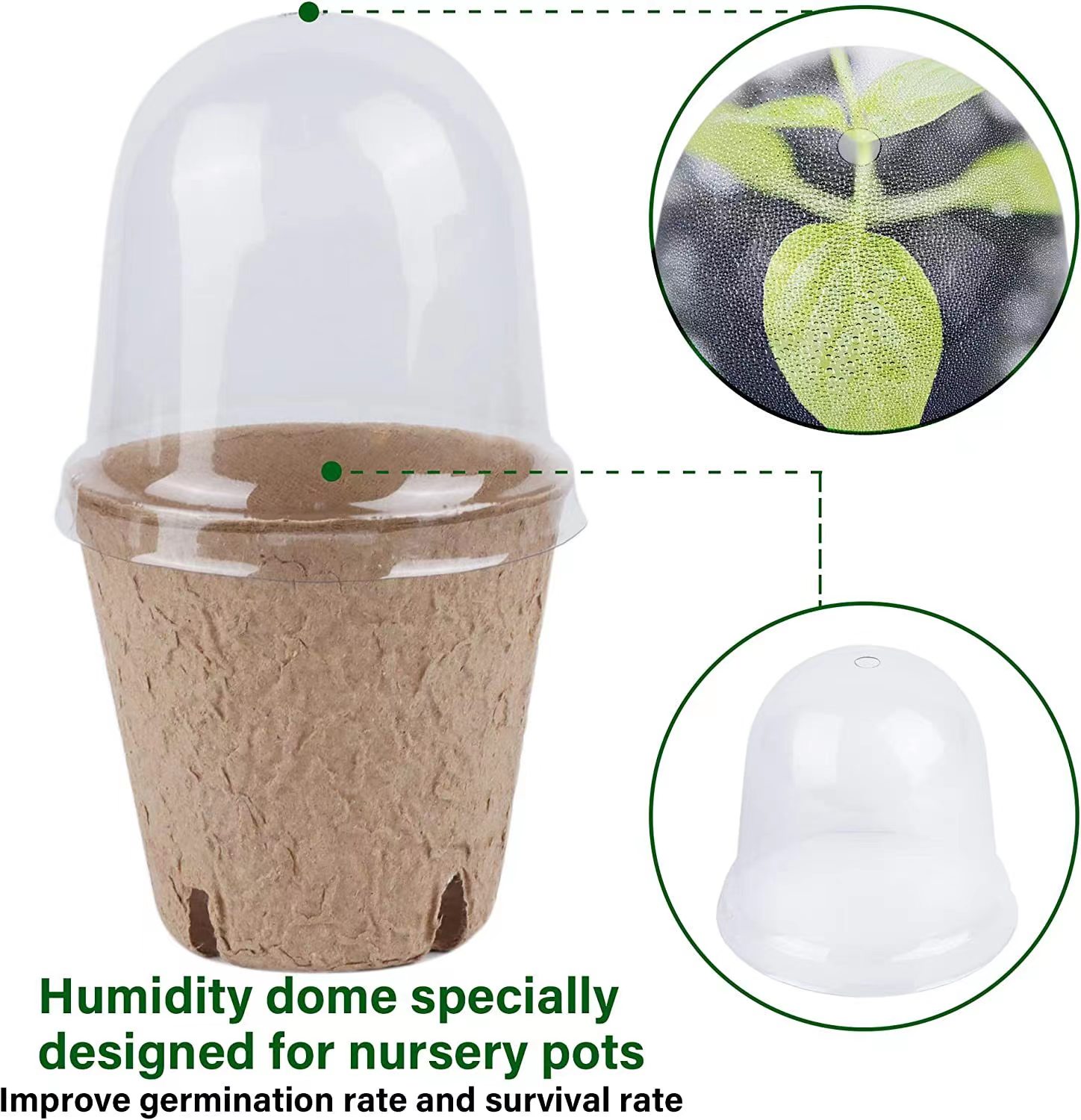 Seed Starter Biodegradable Pea - огляд і ціна Indoor Herb Garden Kit
