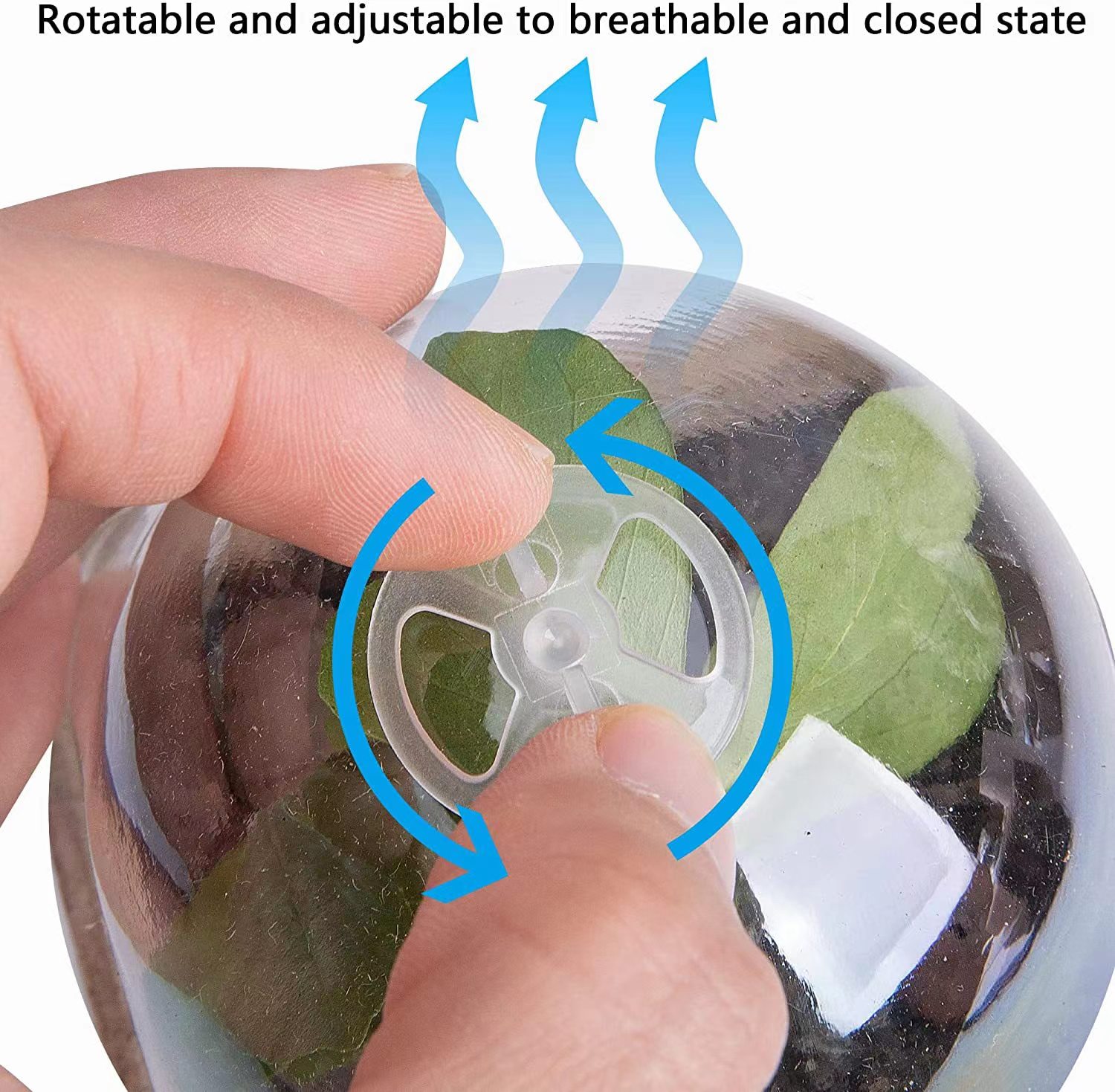 Seed Starter Biodegradable Pea - огляд і ціна Indoor Herb Garden Kit