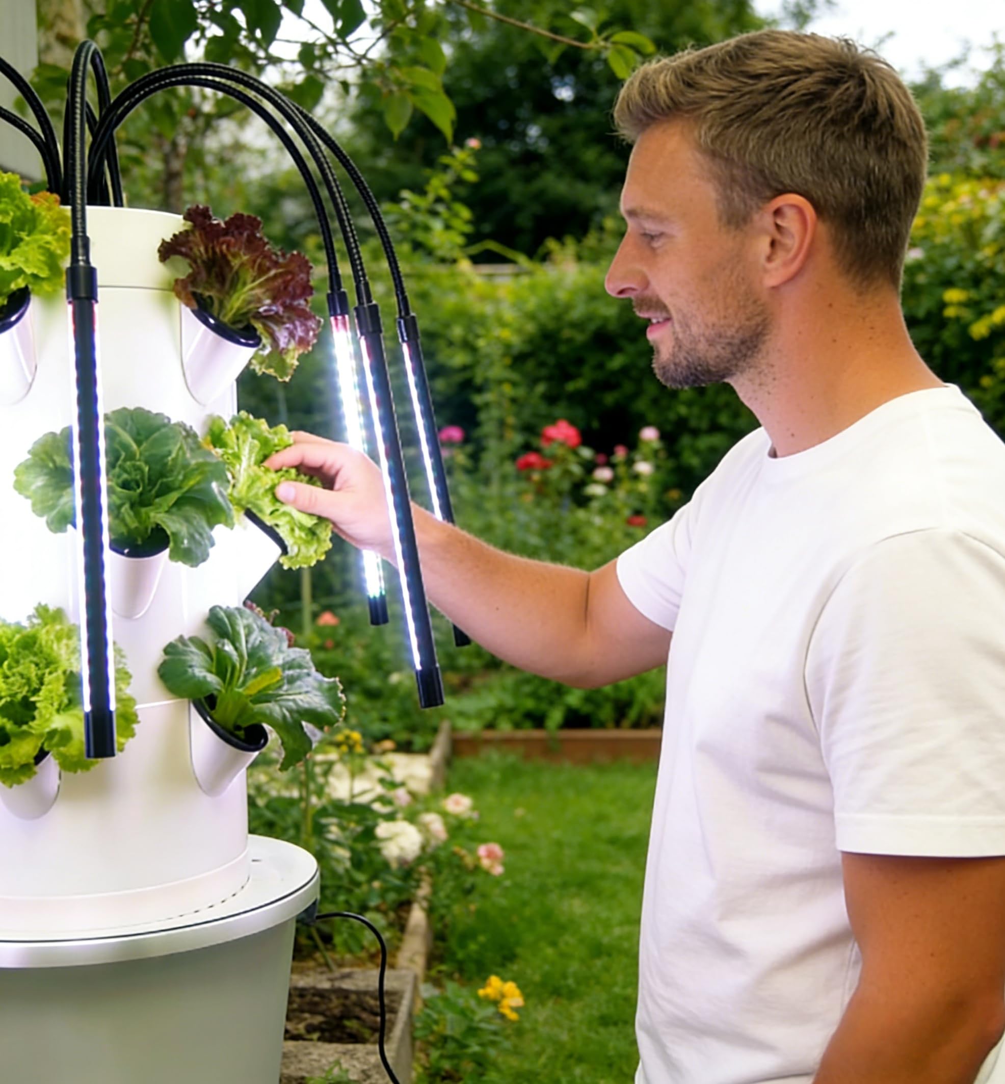 Vertical Hydroponic Growing Sy - огляд і ціна Smart Garden Vertical