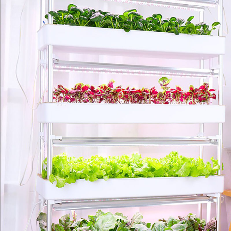 Hydroponics Growing System Ver - огляд і ціна Smart Garden Vertical