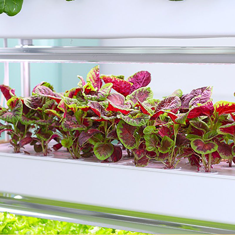 Hydroponics Growing System Ver - огляд і ціна Smart Garden Vertical