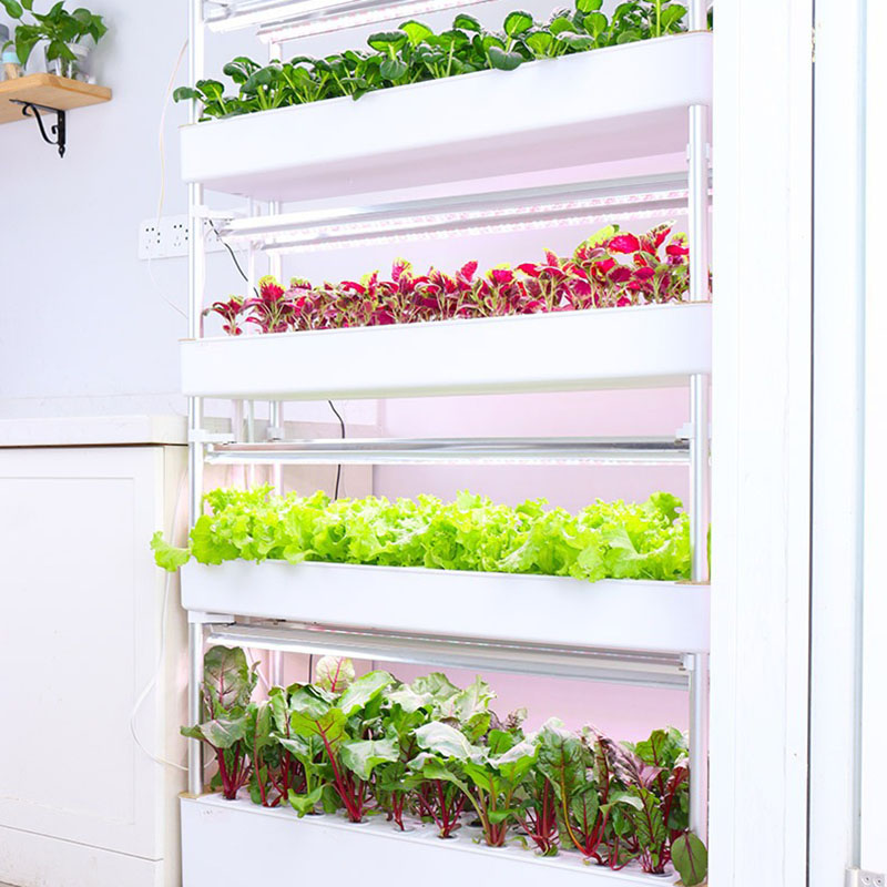 Hydroponics Growing System Ver - огляд і ціна Smart Garden Vertical