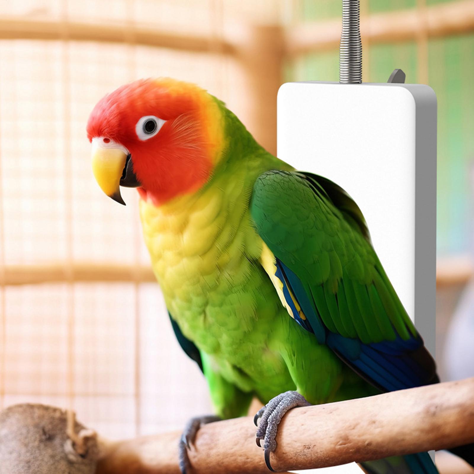 Pet Heater 5V Safe Pet Winter  - огляд і ціна Smart Garden Bird Bath