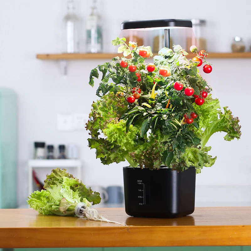 Growing System Indoor Garden 4 - огляд і ціна Indoor Herb Garden Kit