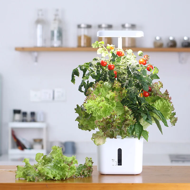 Growing System Indoor Garden 4 - огляд і ціна Indoor Herb Garden Kit