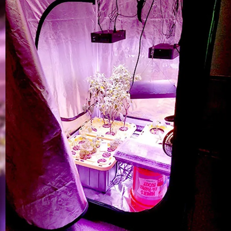 ROHE 100x100x200cm Hydroponic  - огляд і ціна Grow Tent Complete Kit