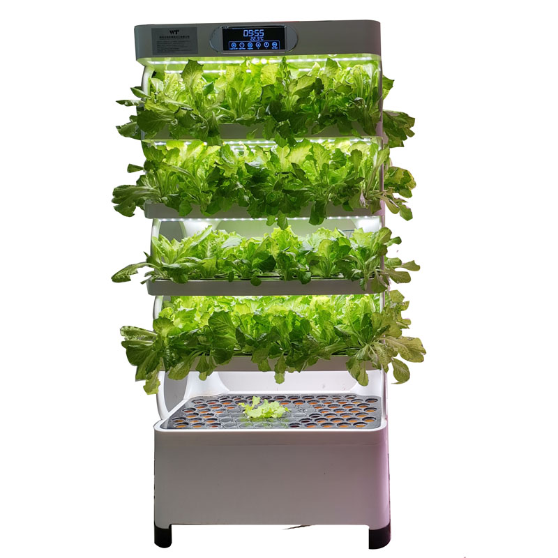 Indoor Smart Low Cost Hydropon - огляд і ціна Smart Garden Vertical