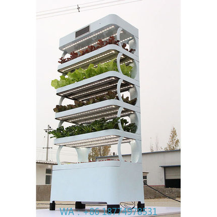 arming Home Hydroponic Growing - огляд і ціна Smart Garden Vertical