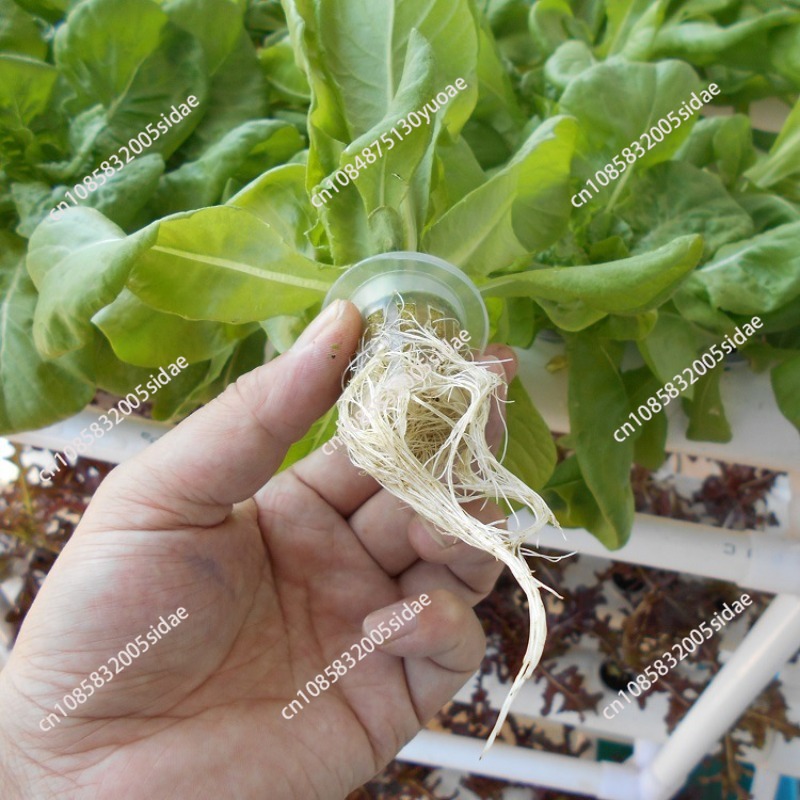 3-Layer Hydroponics Growing Sy - огляд і ціна Indoor Herb Garden Kit