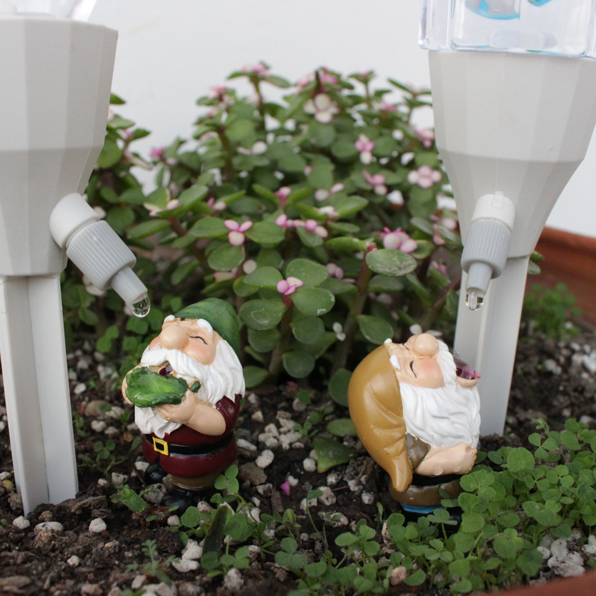 2 set Gnome Automatic Watering - огляд і ціна Smart Garden Watering Can