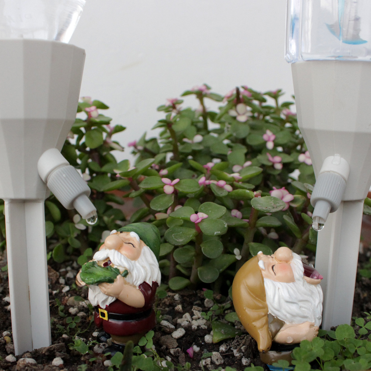 2 set Gnome Automatic Watering - огляд і ціна Smart Garden Watering Can