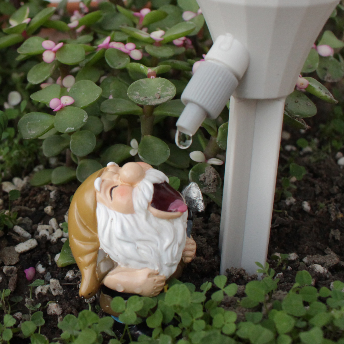 2 set Gnome Automatic Watering - огляд і ціна Smart Garden Watering Can